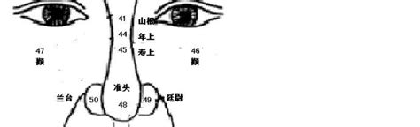 幾多歲行鼻運|麥玲玲面相講座捌